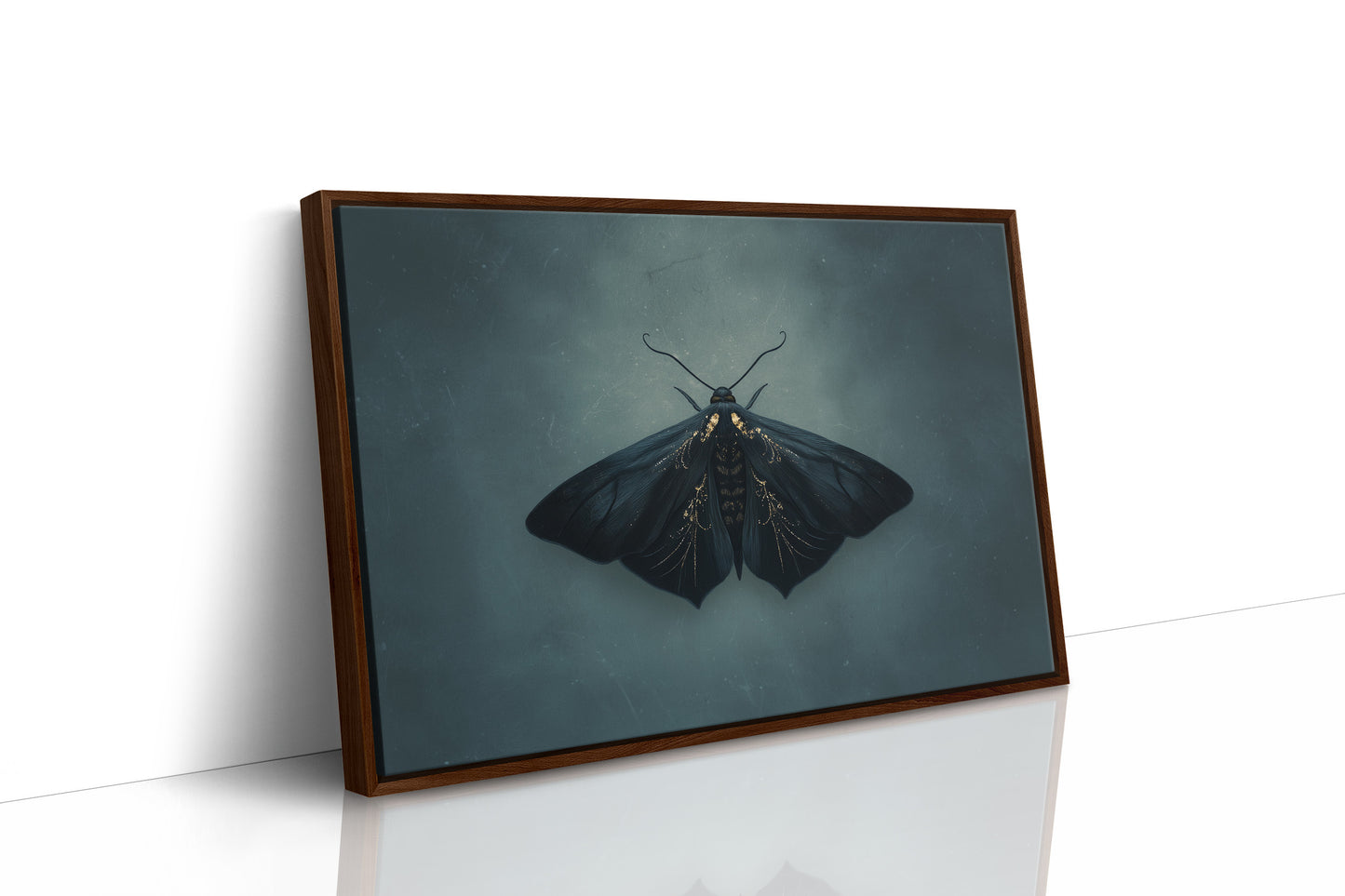 Velvet Wings Among Leather Spines