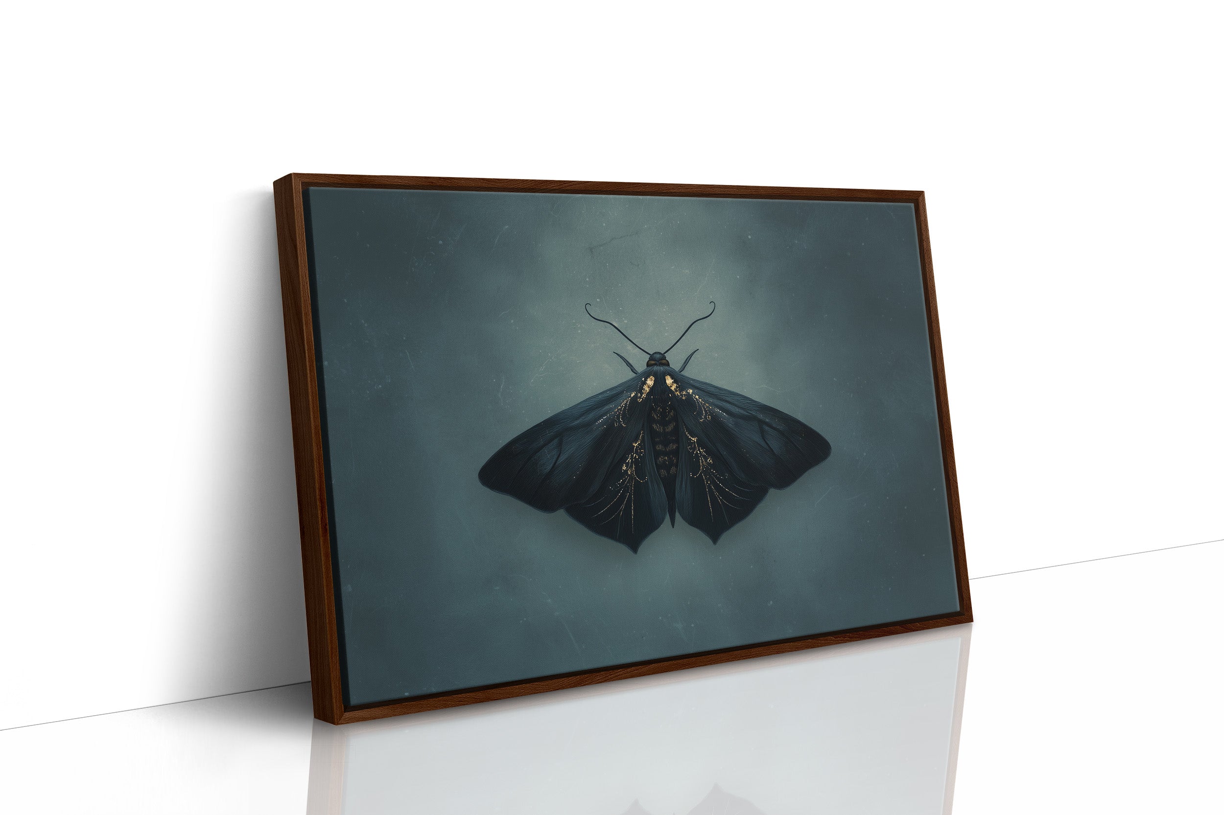 Velvet Wings Among Leather Spines