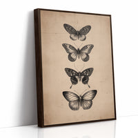 Specimen Study In Soft Light