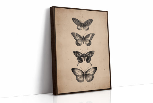 Specimen Study In Soft Light