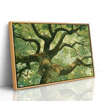 Beneath the Emerald Canopy