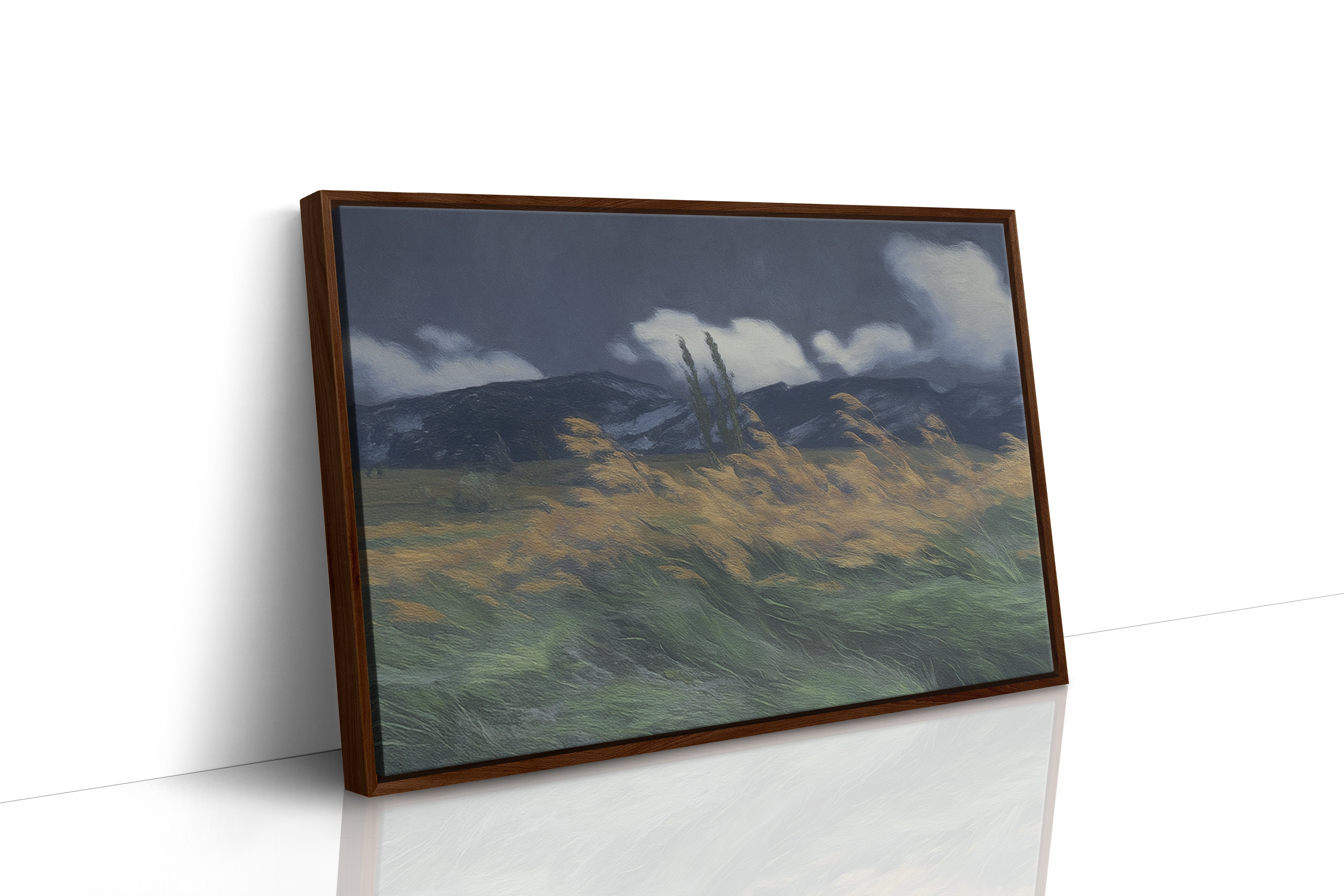 Stormlight Over the Field