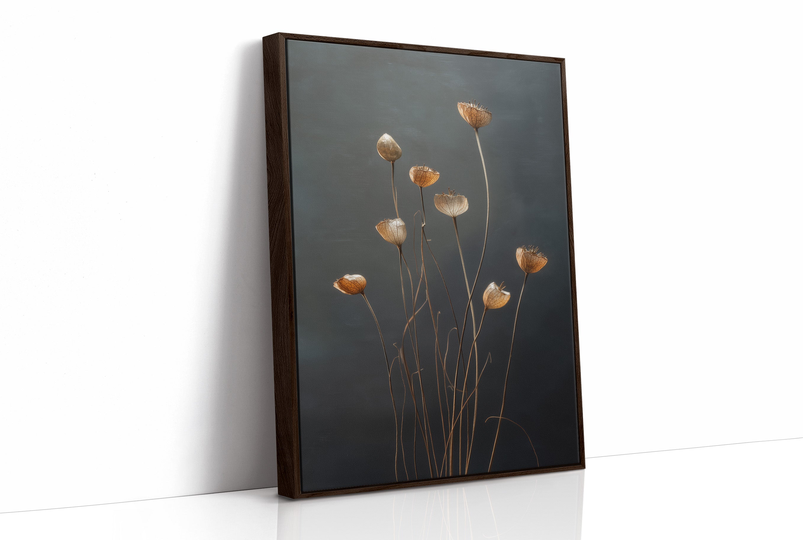 Dried Poppies Above Evening Spirits