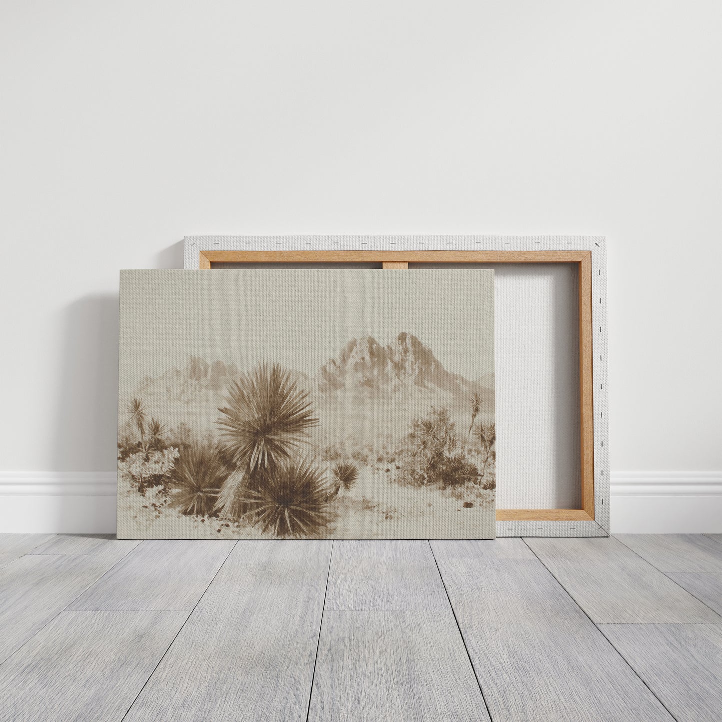 Yucca Blooms Pierce Desert Dawn