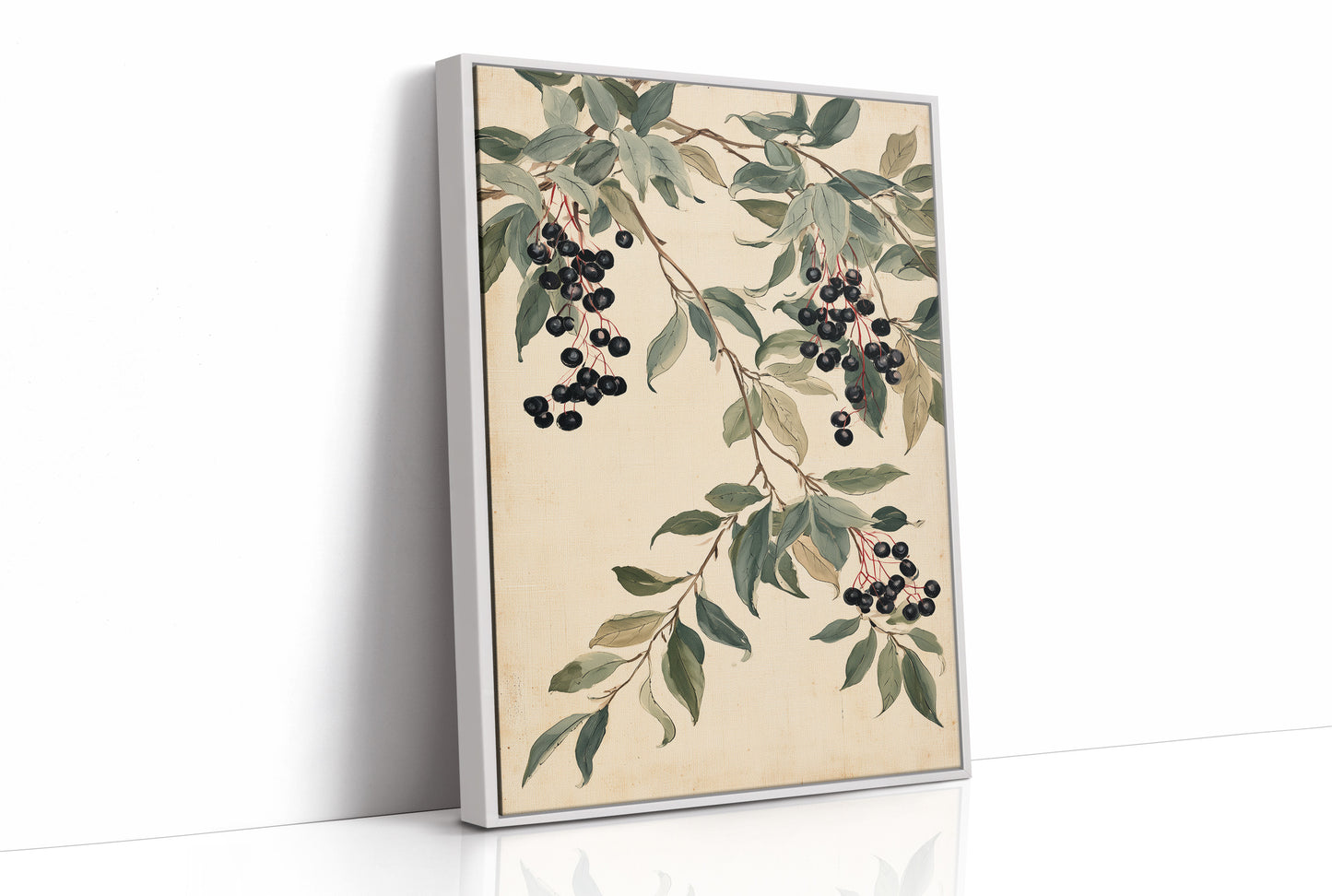 Botanical Berry: Elderberry Vine