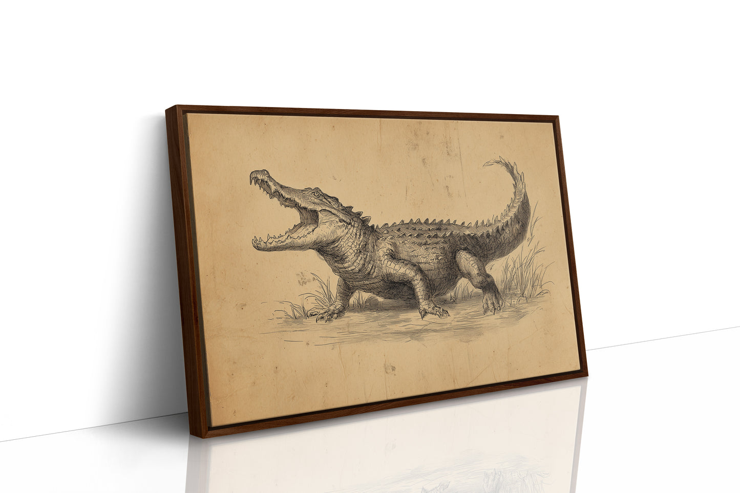 Ancient Scales Tell Bayou Tales