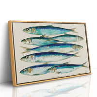 Catch of the Day, Sardine Study