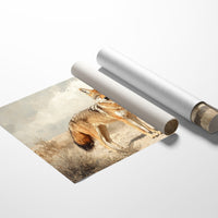 Lone Coyote in the Sun