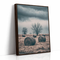 Heavy Sky Over the Hay Field