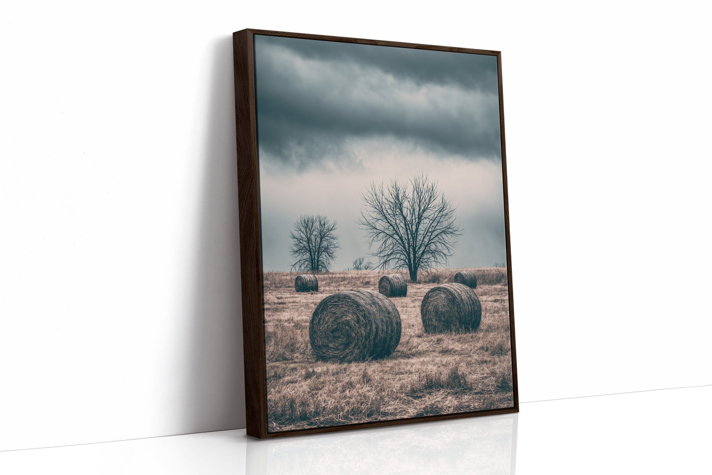 Heavy Sky Over the Hay Field