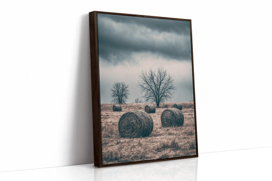 Heavy Sky Over the Hay Field