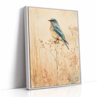 Bluebird in the Dried Wildflowers