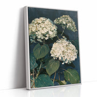 Hydrangeas After Dusk