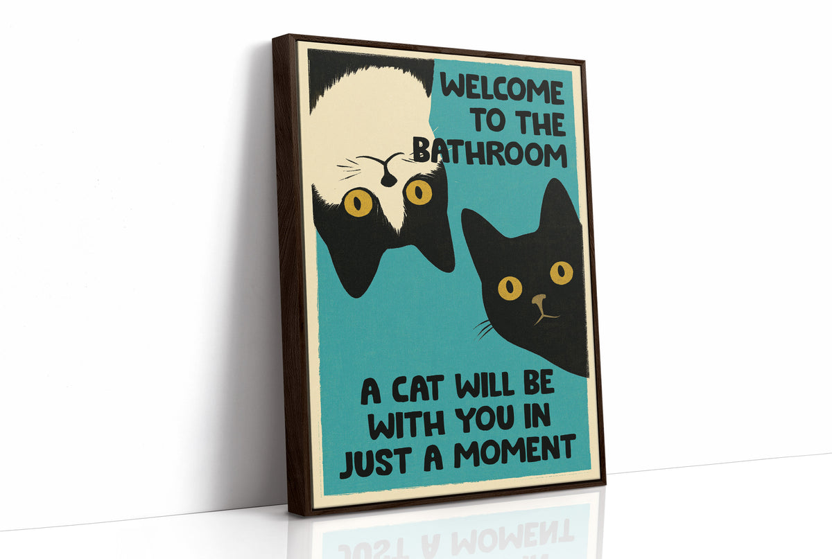 Two Cats, Zero Boundaries