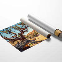 Twisted Shade in Joshua Sky