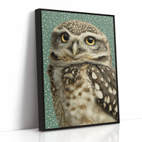 Wide-Eyed Little Owl