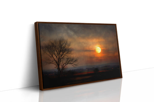 Lone Tree Awaits Amber Dawn