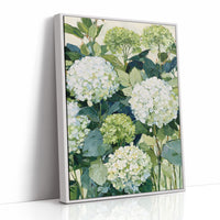 Garden Hydrangea Abundance