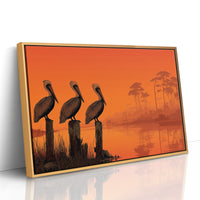 Three Pelicans, Zero Fish Caught
