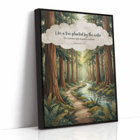 Like a Tree Planted by the Water: Redwood Forest Stream