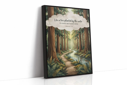 Like a Tree Planted by the Water: Redwood Forest Stream