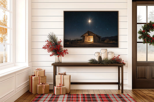 Starlight Finds The Humble Manger