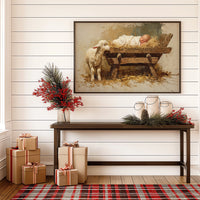 Gentle Lamb Keeps Christmas Watch