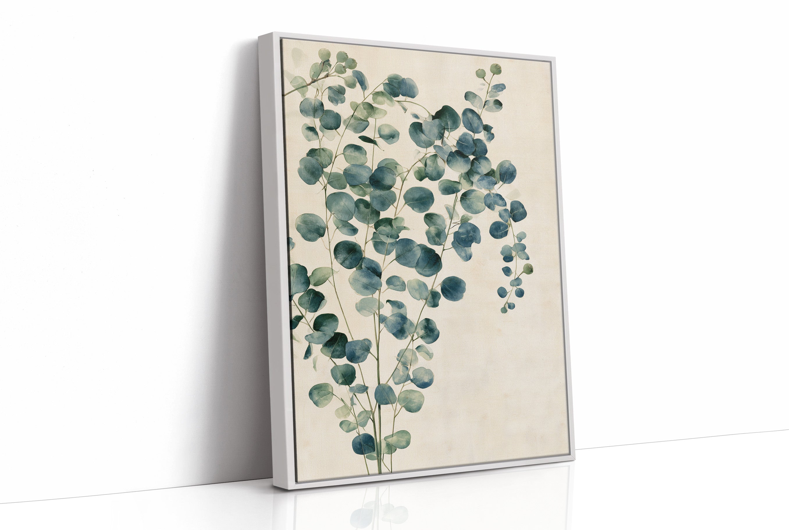 Silver Dollar Eucalyptus Sprig
