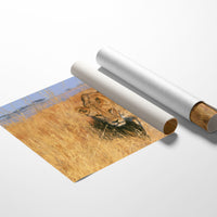 Lioness, Golden Grass Approach