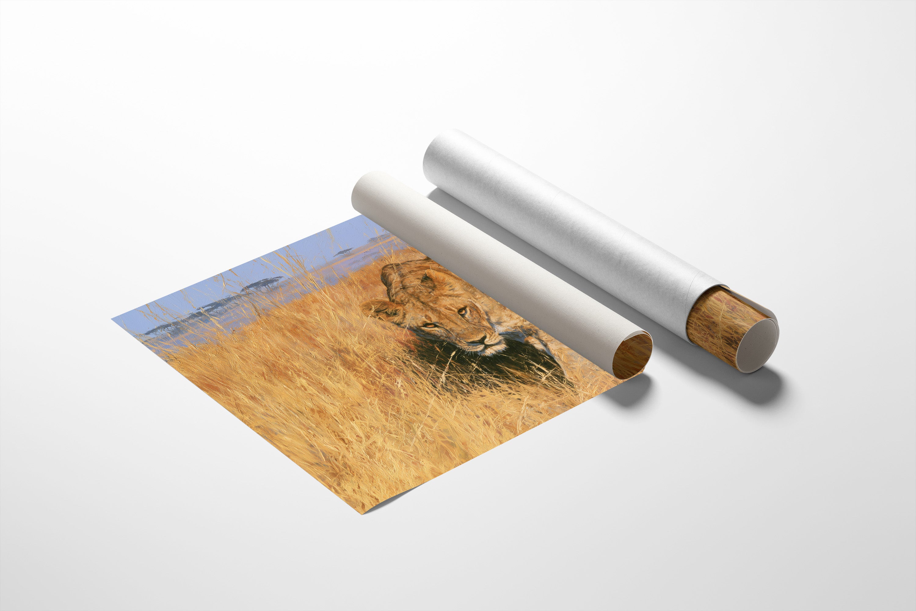 Lioness, Golden Grass Approach