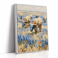 Longhorns in the Bluebonnets