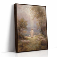 Light Breaks Through Ancient Meadows