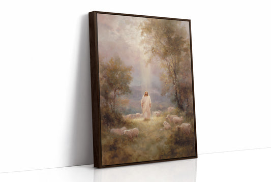 Light Breaks Through Ancient Meadows