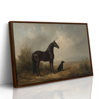 Noble Steed Shares Dawn With Friend