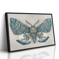 Azure Wings Among Leather Spines