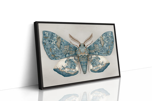 Azure Wings Among Leather Spines