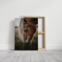 Golden Dusk and Gentle Eyes