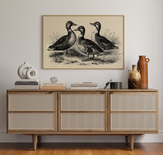 Gathering of Gentle Companions