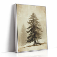 Solitary Pine Holds Winter's Memory