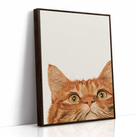 Orange Cat, Full Attention