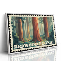 Redwood Forest: Secrets of Time