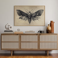 Moth's Lament Over Forgotten Tales