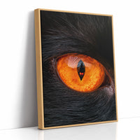 What the Cat's Eye Saw