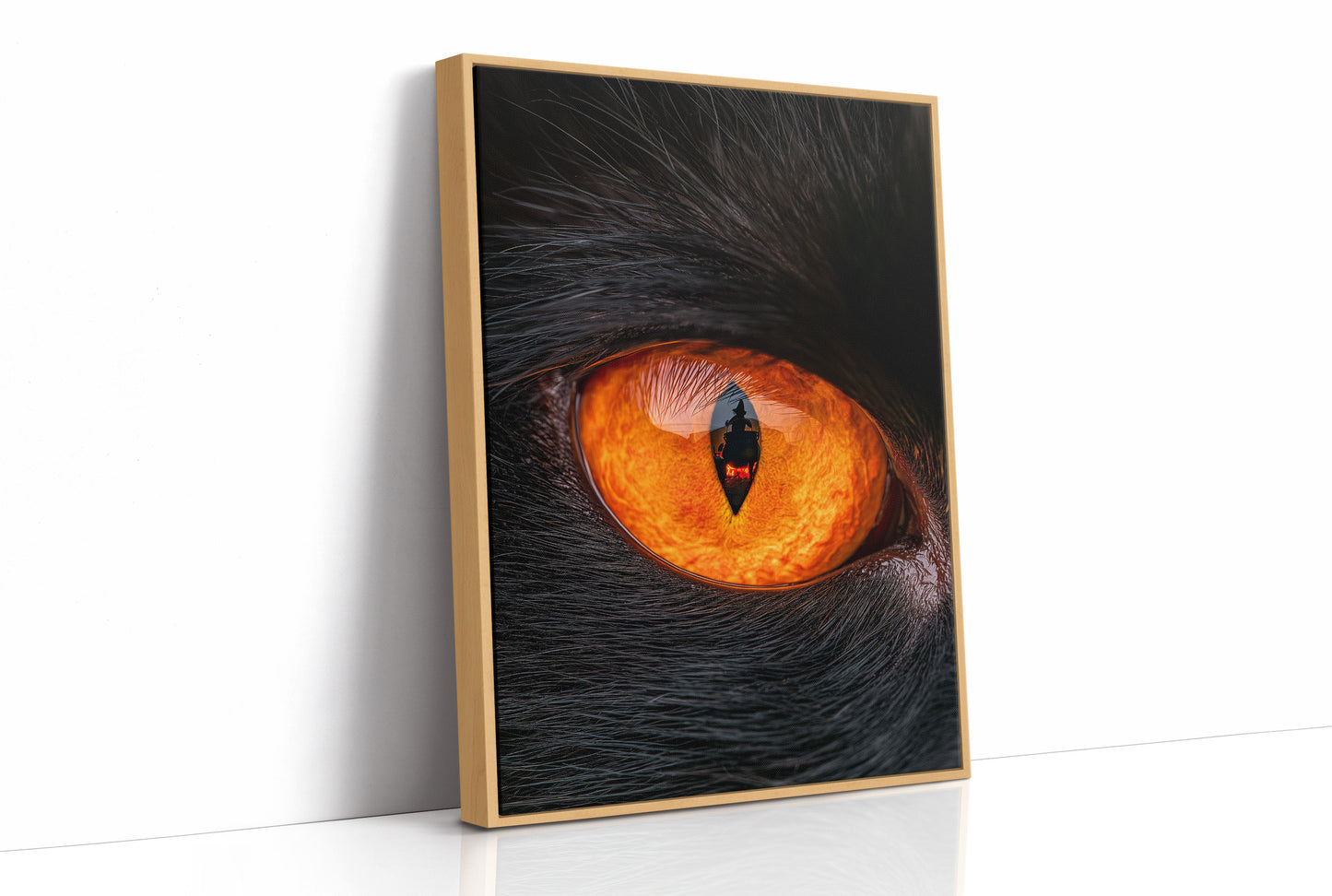 What the Cat's Eye Saw
