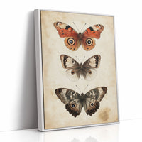 A Tapestry of Winged Wonders