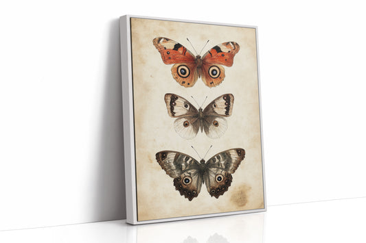 A Tapestry of Winged Wonders