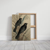Midnight Perch Among Reeds