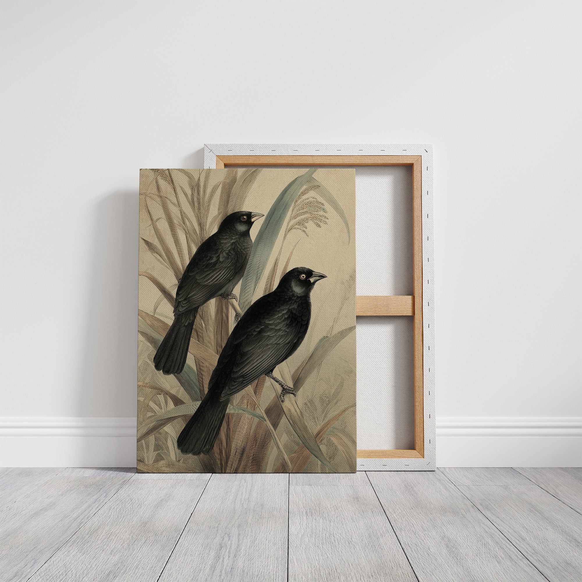 Midnight Perch Among Reeds