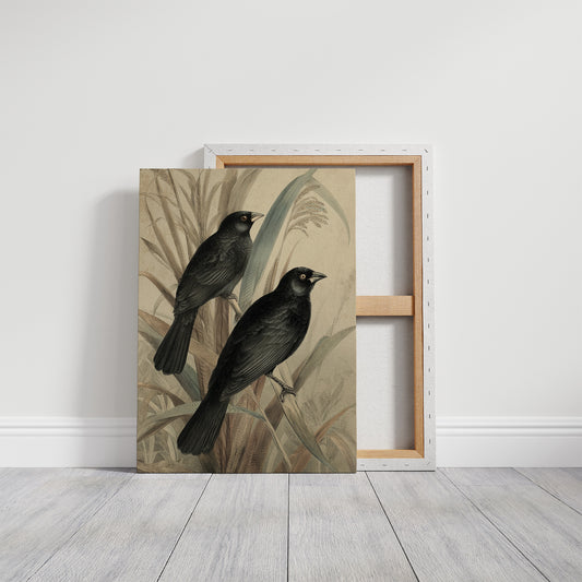 Midnight Perch Among Reeds