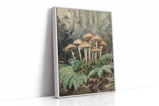 Beneath Canopies of Gentle Light